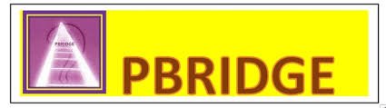 Pbridge Consultancy Pvt. Ltd. Pbridge Consultancy Pvt. Ltd.
